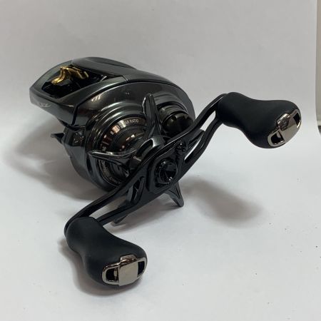  DAIWA ダイワ STEEZ CT SV TW700XHL べイトリール　純正ハンドルあり 00613535