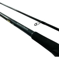 DAIWA ダイワ シーバスロッド モアザンEX 109ML/M・V 05800015 本体のみ Cランク