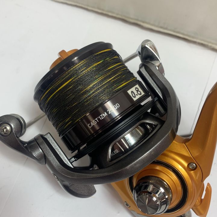 DAIWA ダイワ 14キャスティズム25QD 06PE スピニングリール 00059345