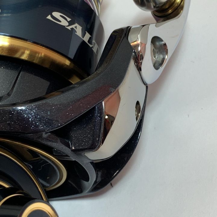 DAIWA ダイワ 20ソルティガ8000H キズ有 スピニングリール 箱、ポーチ