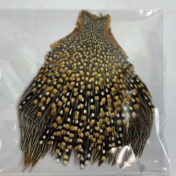 ★★  フライマテリアル ジャングルコック　縦20cm×横17cm Aランク