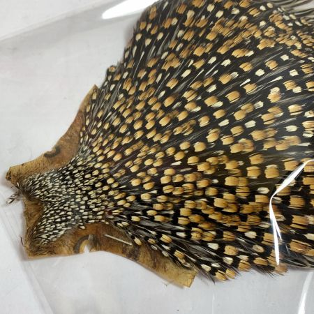   フライマテリアル ジャングルコック　縦20cm×横17cm