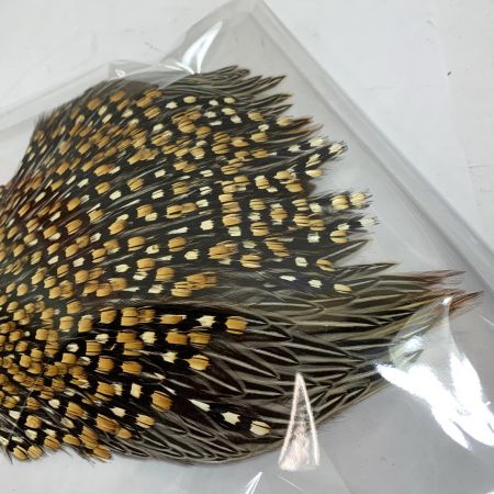   フライマテリアル ジャングルコック　縦20cm×横17cm