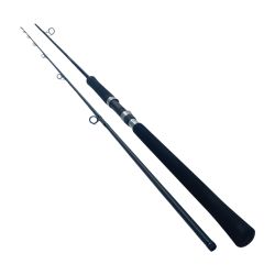 SHIMANO シマノ 19ソルティーアドバンスショアジギング 100MH 39425 Bランク