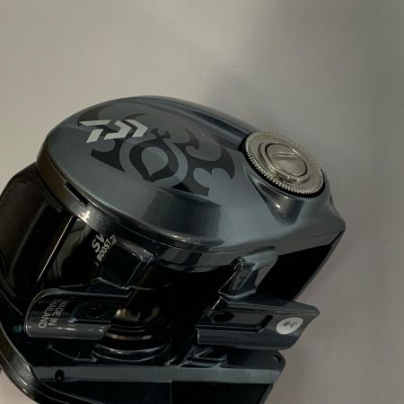  DAIWA ダイワ 25タトゥーラ SV TW 100HL　ベイトリール　箱付 00630154