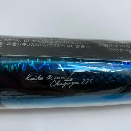  ケイコオーシャン チャガユ