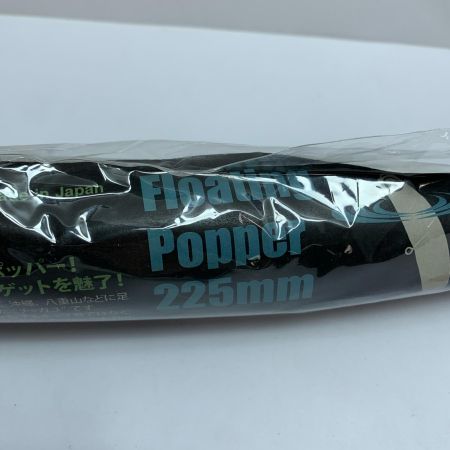  ケイコオーシャン チャガユ