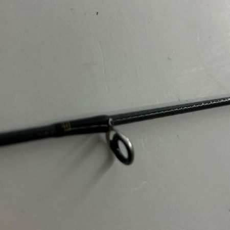 DAIWA ダイワ バスロッド DAIWA ダイワ 05800076 シーバスハンターX 96ML・R 9'6" 05800076