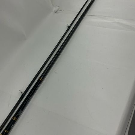 DAIWA ダイワ バスロッド DAIWA ダイワ 05800076 シーバスハンターX 96ML・R 9'6" 05800076