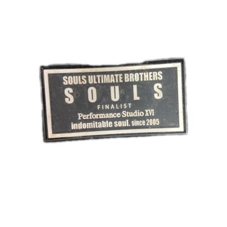  SOULS ソウルズ 釣り小物 ギンバル  サポートベルト ﾊﾟﾌｫｰﾏﾝｽｽﾀｼﾞｵ16