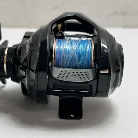 tailwalk テイルウォーク ベイトリール ヴィレイヤー DG 100HG-DH/L