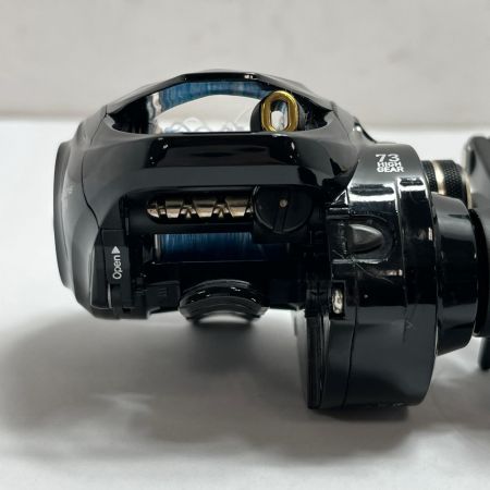 tailwalk テイルウォーク ベイトリール ヴィレイヤー DG 100HG-DH/L