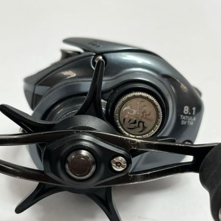 DAIWA ダイワ ベイトリール  8.1 TATULA SV TW