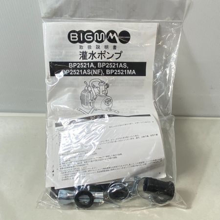  丸山製作所 【未使用品】灌水ポンプ BP2521MA スカイブルー