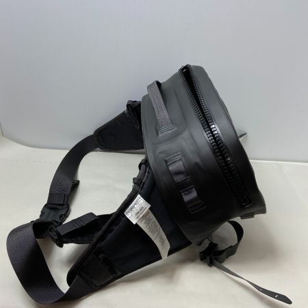 ΨΨ Patagonia パタゴニア ヒップパック