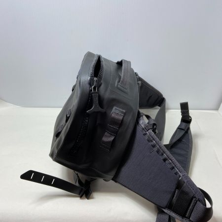 ΨΨ Patagonia パタゴニア ヒップパック