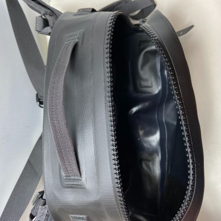 ΨΨ Patagonia パタゴニア ヒップパック