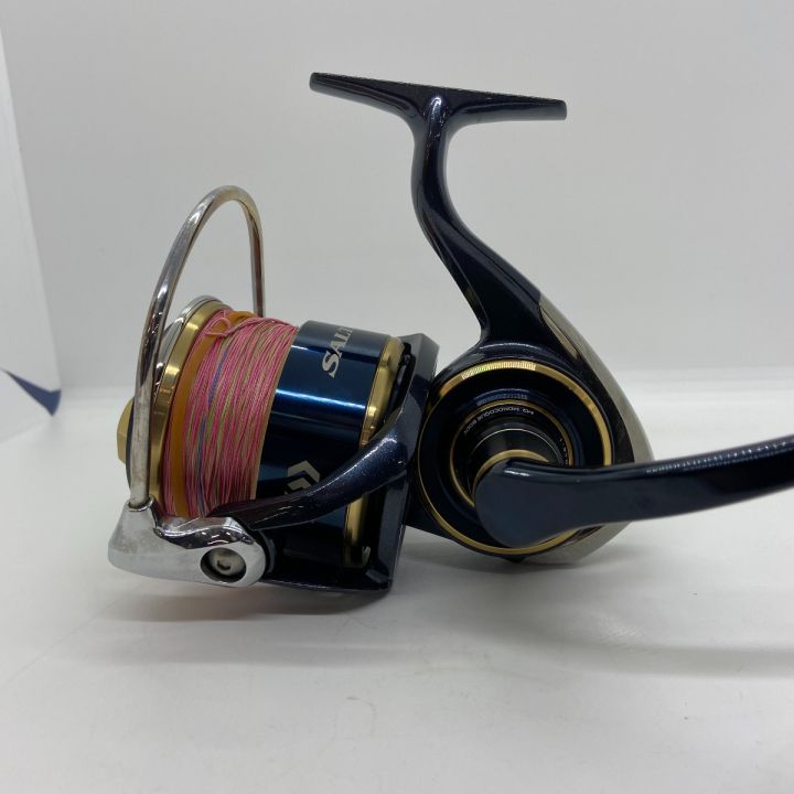 ΨΨ DAIWA ダイワ スピニングリール 20ソルティガ 14000-P 箱付