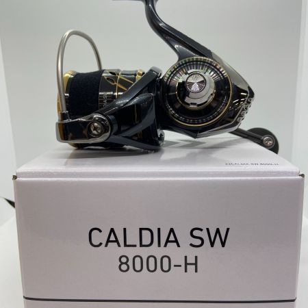 ΨΨ DAIWA ダイワ スピニングリール　22カルディアSW 8000-H 程度A 箱付 00065053