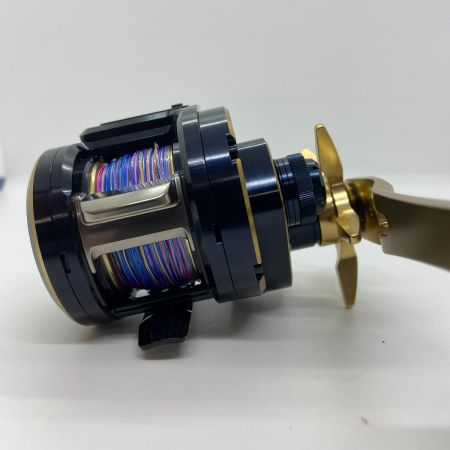 ΨΨ DAIWA ダイワ ベイトリール　21ソルティガIC 300H-SJ 箱付 00631506