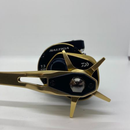 ΨΨ DAIWA ダイワ ベイトリール　21ソルティガIC 300H-SJ 箱付 00631506