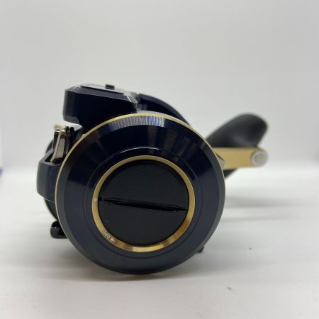 ΨΨ DAIWA ダイワ ベイトリール　21ソルティガIC 300H-SJ 箱付 00631506