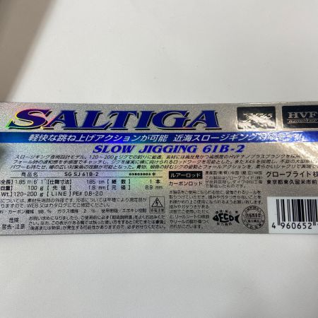 ΨΨ DAIWA ダイワ ルアーロッド  ソルティガ SJ 61B-2   袋付 05805005