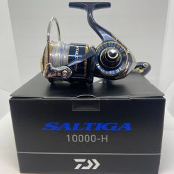 ΨΨ DAIWA ダイワ スピニングリール　20ソルティガ 10000-H 　箱・袋付 00065004 Aランク