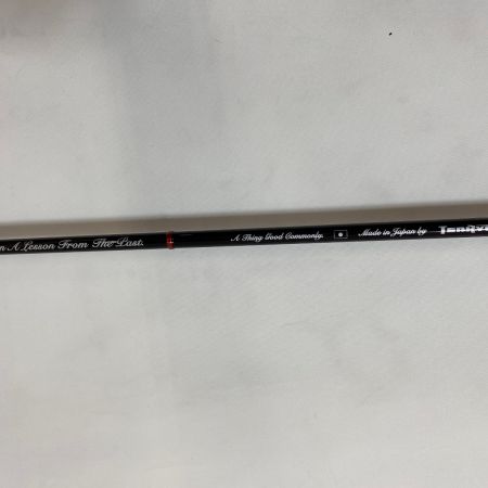 ΨΨ TENRYU CO. 天龍 ルアーロッド　レイズオルタ RZA61L-T 袋付