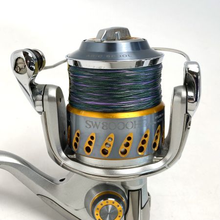  SHIMANO シマノ 08 ステラ SW8000HG 02147 スピニングリール ポーチ・箱付き