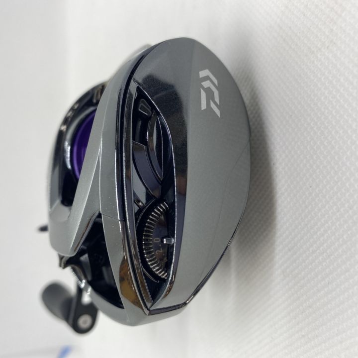 ΨΨ DAIWA ダイワ ベイトリール スティーズ LTD SV TW 1000 右