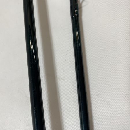 ΨΨ sage セージ フライロッド　グラファイト4 790SP