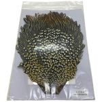 ΨΨ  マテリアル ジャングルコック Aランク