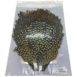 ΨΨ  マテリアル ジャングルコック Aランク