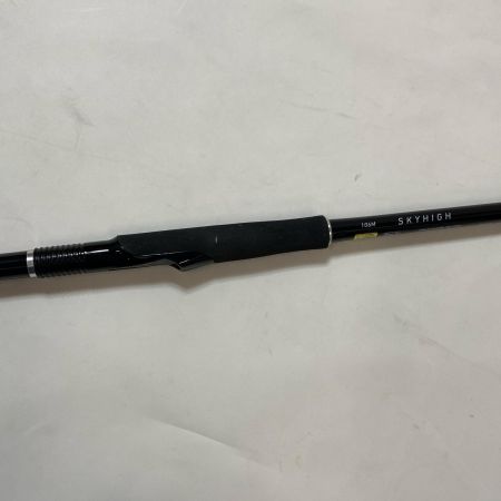 ΨΨ DAIWA ダイワ シーバスロッド　スカイハイ106M 05801190