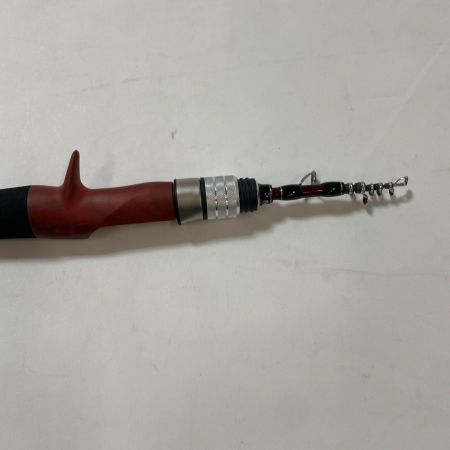 ΨΨ Fishman フィッシュマン ルアーロッド　ビームスエクスパン4.3LTS セミハードケース