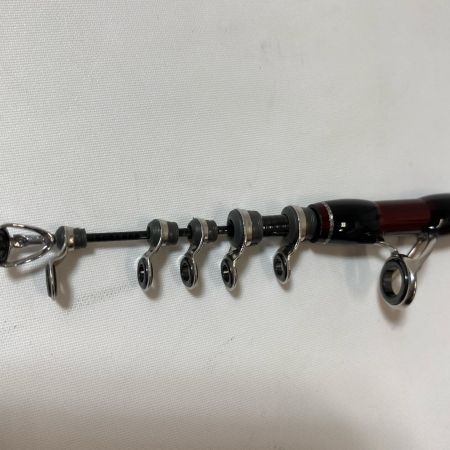 ΨΨ Fishman フィッシュマン ルアーロッド　ビームスエクスパン4.3LTS セミハードケース