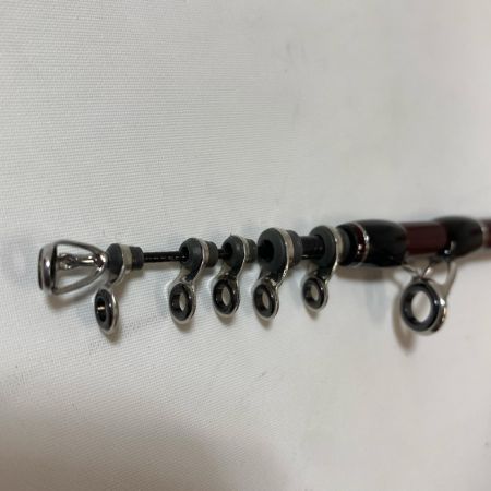 ΨΨ Fishman フィッシュマン ルアーロッド　ビームスエクスパン4.3LTS セミハードケース