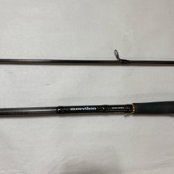 ΨΨ DAIWA ダイワ シーバスロッド　モアザンEX AGS106M 01480347 Bランク