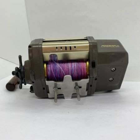 ΨΨ DAIWA ダイワ 電動リール  パワフルタナコンSS-80