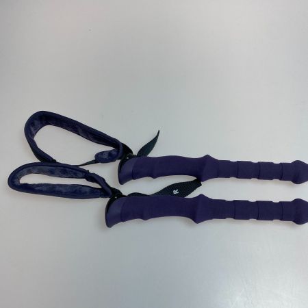 ωω Black Diamond ブラックダイアモンド アウトドア 登山 トレッキングポール フリックロック