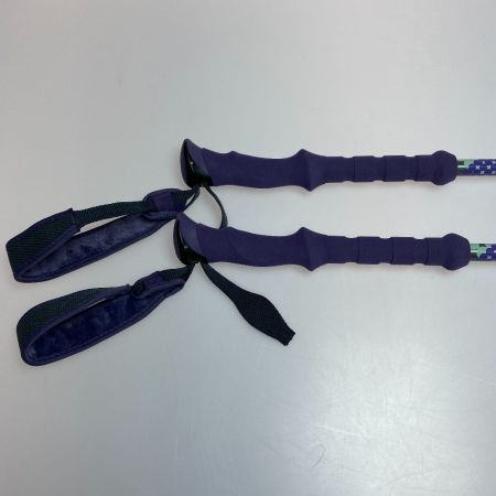 ωω Black Diamond ブラックダイアモンド アウトドア 登山 トレッキングポール フリックロック