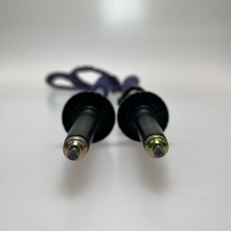 ωω Black Diamond ブラックダイアモンド アウトドア 登山 トレッキングポール フリックロック