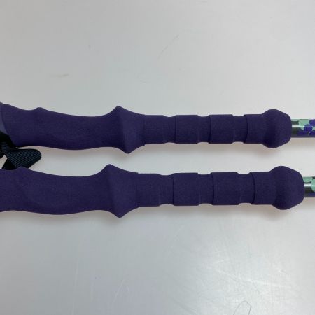 ωω Black Diamond ブラックダイアモンド アウトドア 登山 トレッキングポール フリックロック