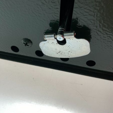 ωω Coleman コールマン ガソリンツーバーナー 425F499