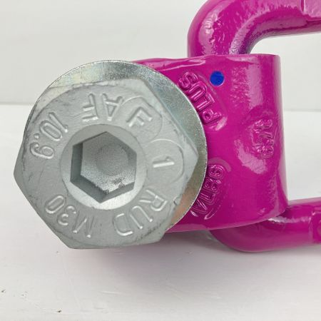 ЗЗ RUD M30 6.7t アイボルト スタンダードボルト ACPトルネード 本体のみ ACP パープル