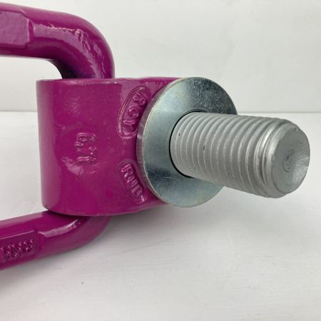 ЗЗ RUD M30 6.7t アイボルト スタンダードボルト ACPトルネード 本体のみ ACP パープル