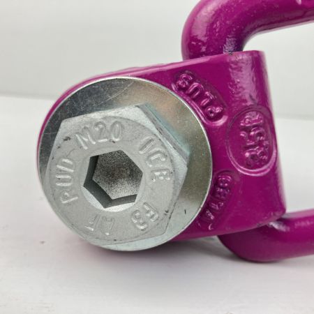  RUD M20 3.5t アイボルト スタンダートボルト ロードリング・プラス 本体のみ VLBG ショッキングピンク