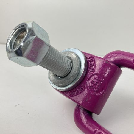  RUD M20 3.5t アイボルト スタンダートボルト ロードリング・プラス 本体のみ VLBG ショッキングピンク