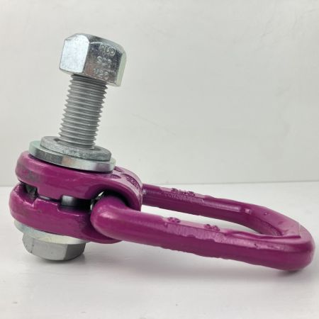  RUD M20 3.5t アイボルト スタンダートボルト ロードリング・プラス 本体のみ VLBG ショッキングピンク